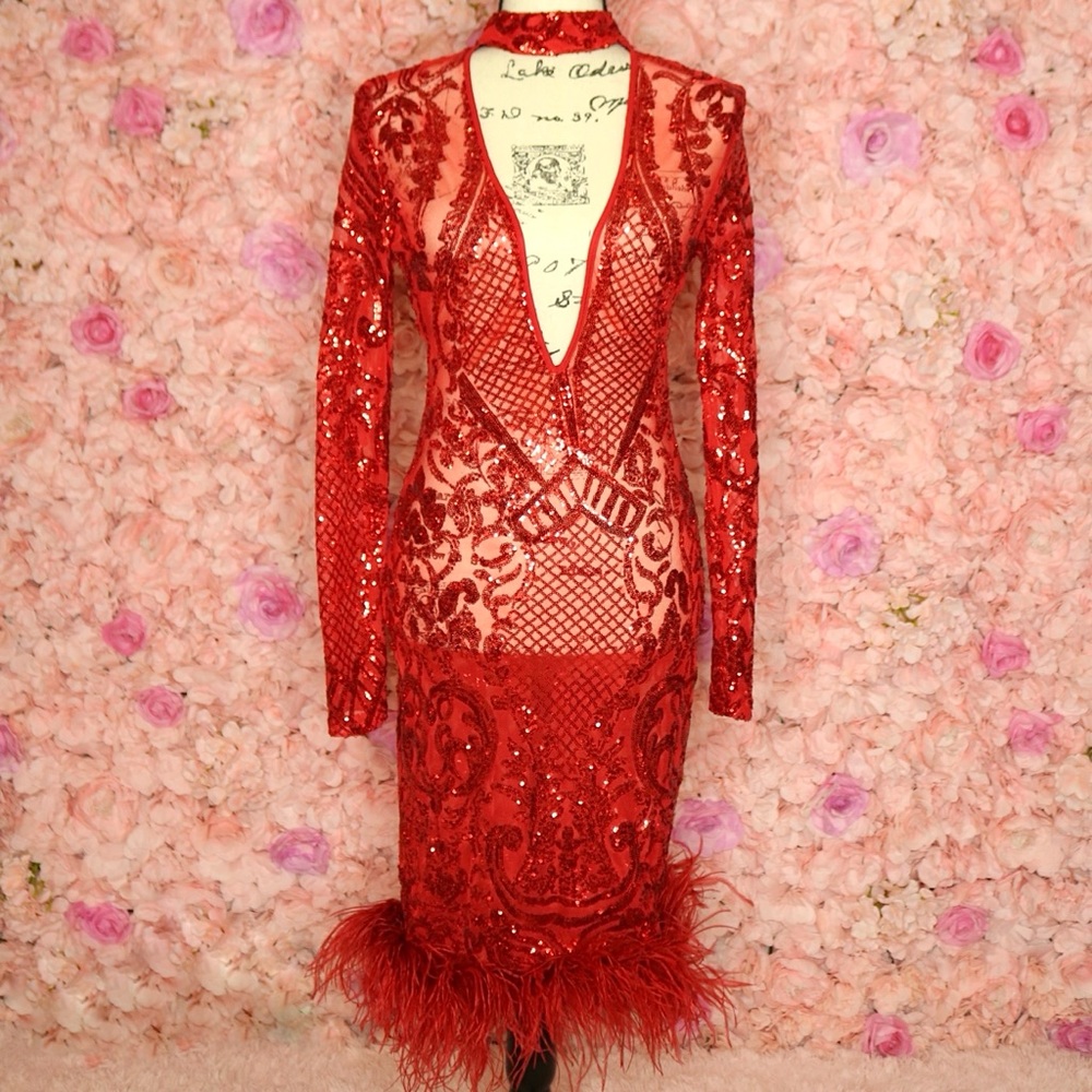 Circe Embellished Mesh Feather Maxi Dress - Red